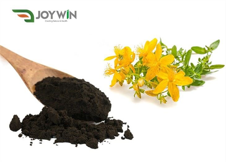 St. John's Wort Estratt