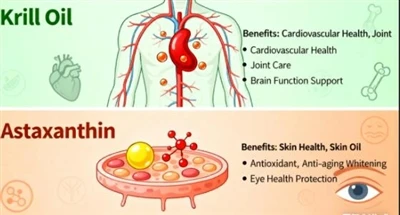 Krill Oil vs Astaxanthin